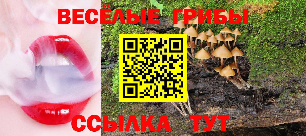 Карачаевск  Псилоцибиновые грибы Psilocybe  Вход с VPN  Галлюциногенные грибы MAGIC MUSHROOMS 