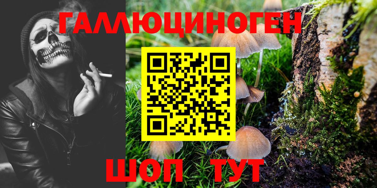 Псилоцибиновые грибы мицелий Карачаевск